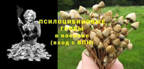 эйфоретик Баксан